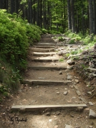 Droga na szczyt Babiej Góry<br/>wykonana ze schodów